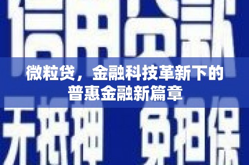 茂林微粒贷，金融科技革新下的普惠金融新篇章