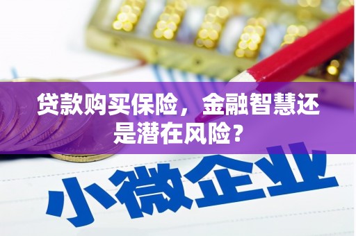 茂林贷款购买保险，金融智慧还是潜在风险？