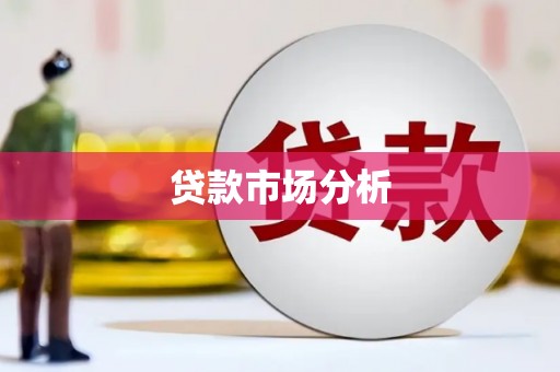 茂林贷款市场分析