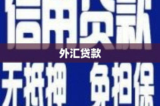 茂林外汇贷款