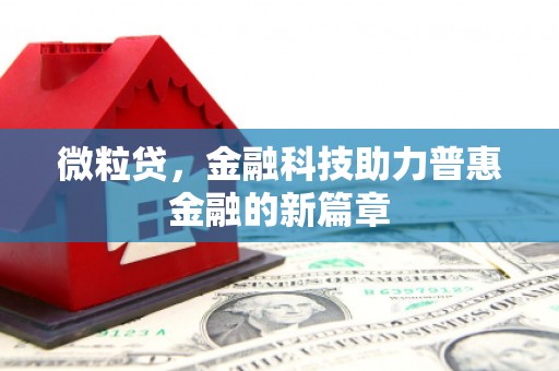 茂林微粒贷，金融科技助力普惠金融的新篇章