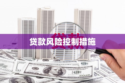 茂林贷款风险控制措施