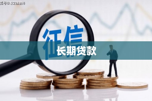 茂林长期贷款