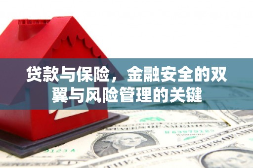 茂林贷款与保险，金融安全的双翼与风险管理的关键