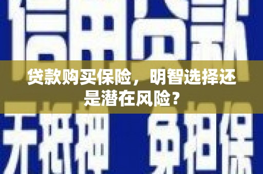 茂林贷款购买保险，明智选择还是潜在风险？