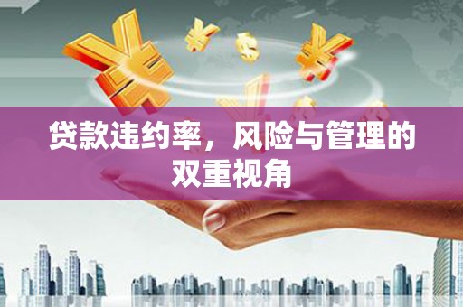 茂林贷款违约率，风险与管理的双重视角