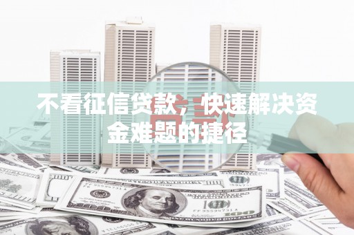 茂林不看征信贷款，快速解决资金难题的捷径
