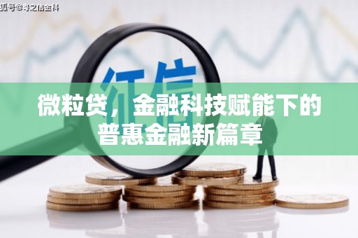茂林微粒贷，金融科技赋能下的普惠金融新篇章