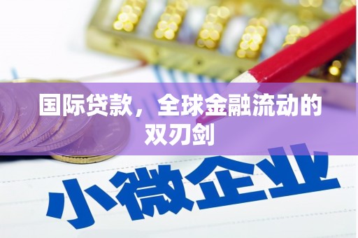 茂林国际贷款，全球金融流动的双刃剑