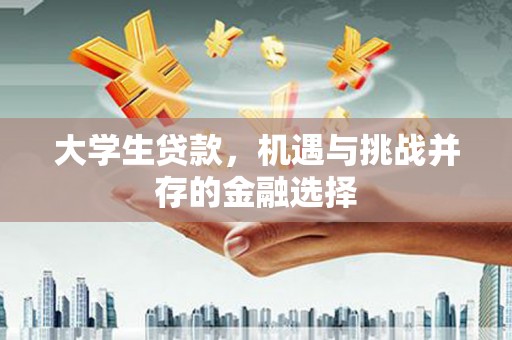 茂林大学生贷款，机遇与挑战并存的金融选择