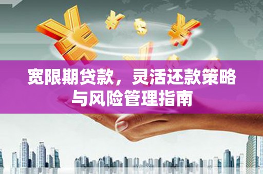 茂林宽限期贷款，灵活还款策略与风险管理指南