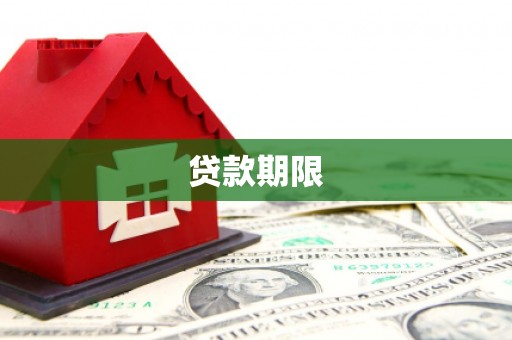 茂林贷款期限