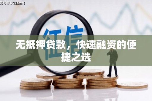 茂林无抵押贷款，快速融资的便捷之选