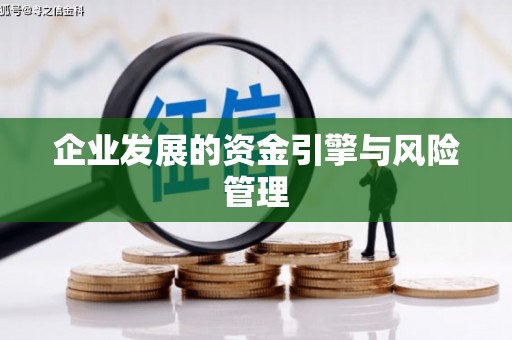 茂林企业发展的资金引擎与风险管理