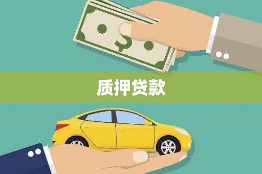 茂林质押贷款