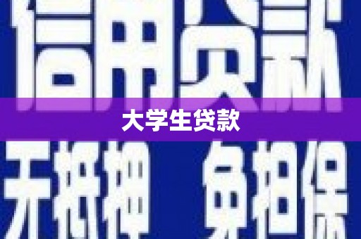 茂林大学生贷款