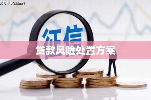 茂林贷款风险处置方案