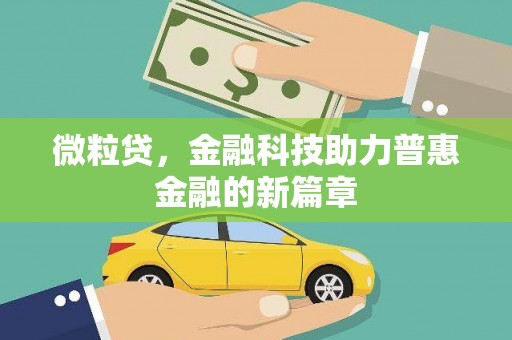 茂林微粒贷，金融科技助力普惠金融的新篇章