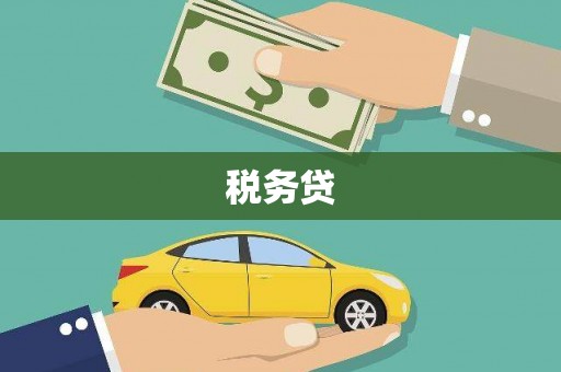茂林税务贷