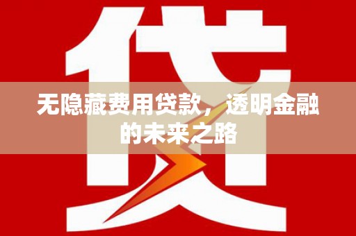 茂林无隐藏费用贷款，透明金融的未来之路