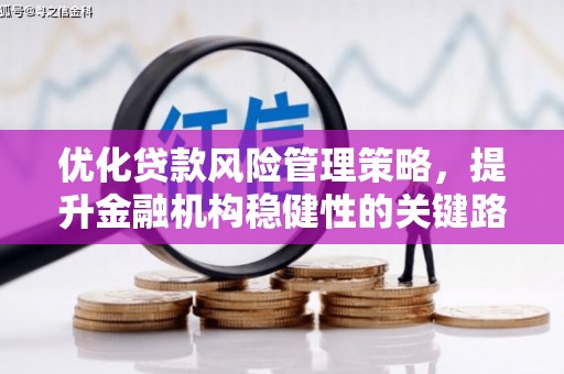 茂林优化贷款风险管理策略，提升金融机构稳健性的关键路径
