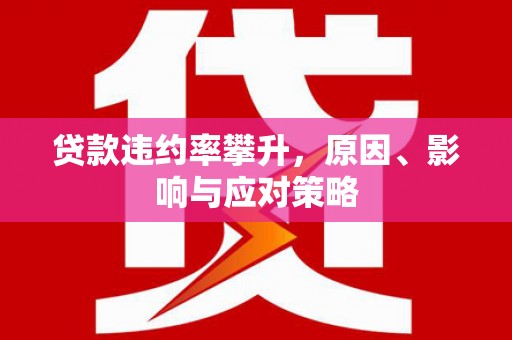 茂林贷款违约率攀升，原因、影响与应对策略
