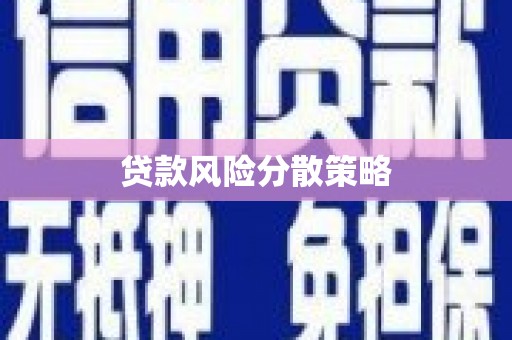 茂林贷款风险分散策略