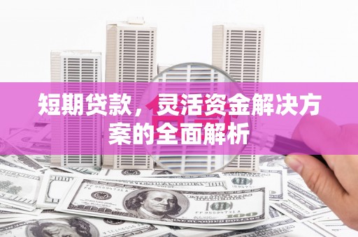 茂林短期贷款，灵活资金解决方案的全面解析