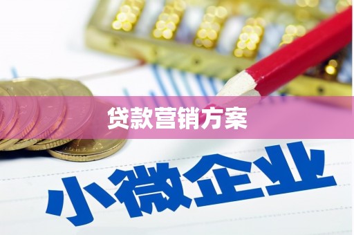 茂林贷款营销方案