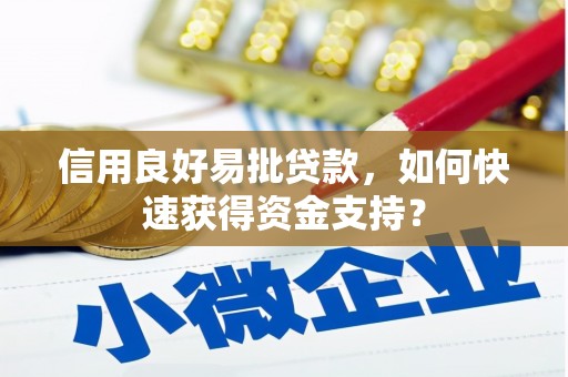 茂林信用良好易批贷款，如何快速获得资金支持？