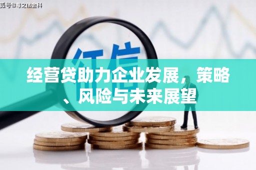 茂林经营贷助力企业发展，策略、风险与未来展望