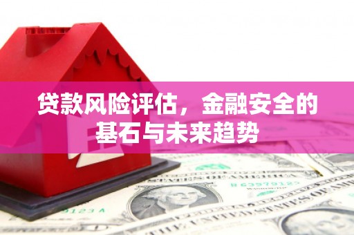 茂林贷款风险评估，金融安全的基石与未来趋势