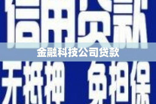 茂林金融科技公司贷款