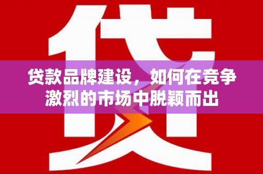 茂林贷款品牌建设，如何在竞争激烈的市场中脱颖而出