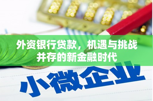 茂林外资银行贷款，机遇与挑战并存的新金融时代