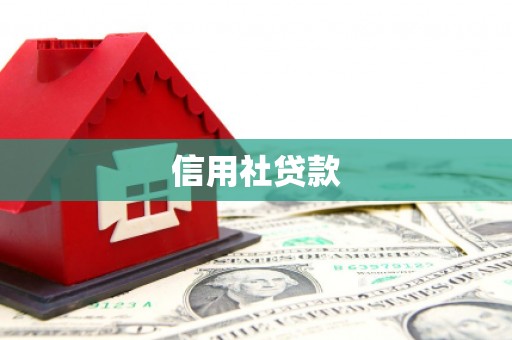 茂林信用社贷款