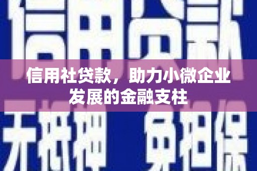 茂林信用社贷款，助力小微企业发展的金融支柱