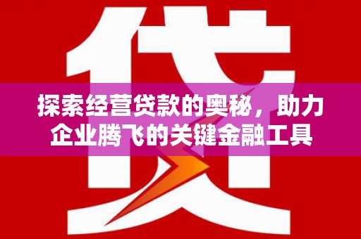 茂林探索经营贷款的奥秘，助力企业腾飞的关键金融工具