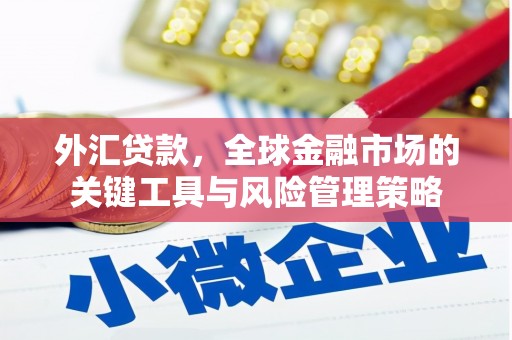 茂林外汇贷款，全球金融市场的关键工具与风险管理策略