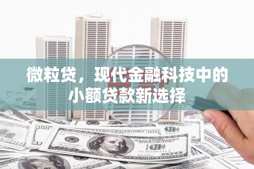 茂林微粒贷，现代金融科技中的小额贷款新选择