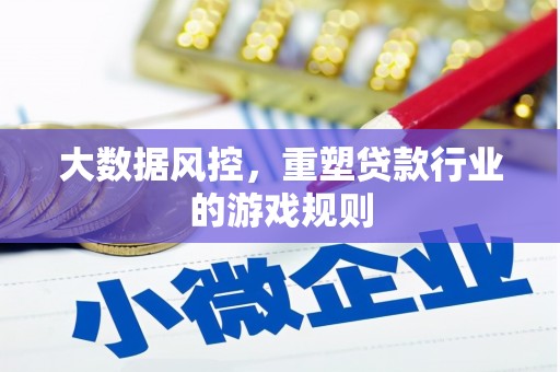 茂林大数据风控，重塑贷款行业的游戏规则