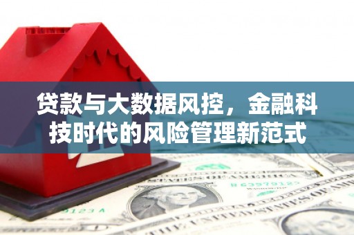 茂林贷款与大数据风控，金融科技时代的风险管理新范式