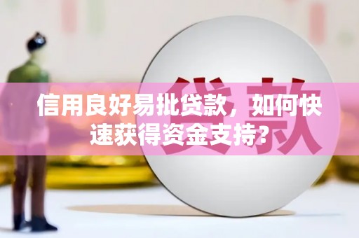 茂林信用良好易批贷款，如何快速获得资金支持？
