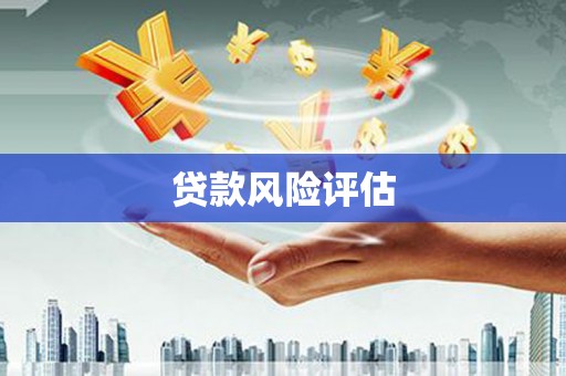茂林贷款风险评估
