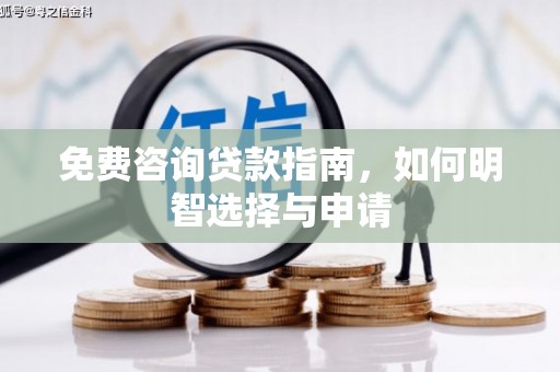 茂林免费咨询贷款指南，如何明智选择与申请