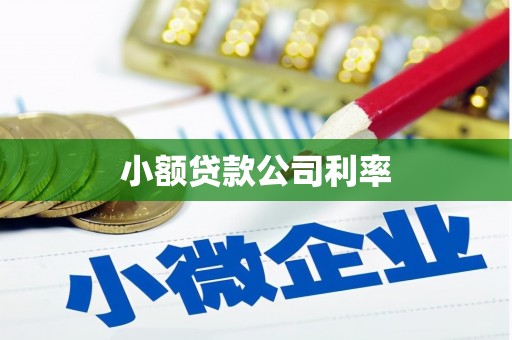 茂林小额贷款公司利率