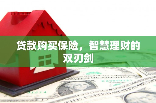 茂林贷款购买保险，智慧理财的双刃剑