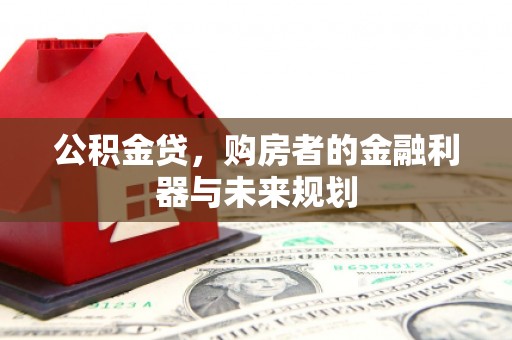 茂林公积金贷，购房者的金融利器与未来规划