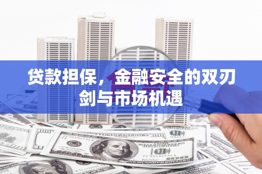 茂林贷款担保，金融安全的双刃剑与市场机遇