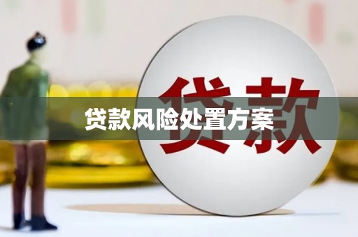 茂林贷款风险处置方案